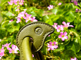 ぶれすれっと【正面】